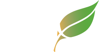 CAO Logo