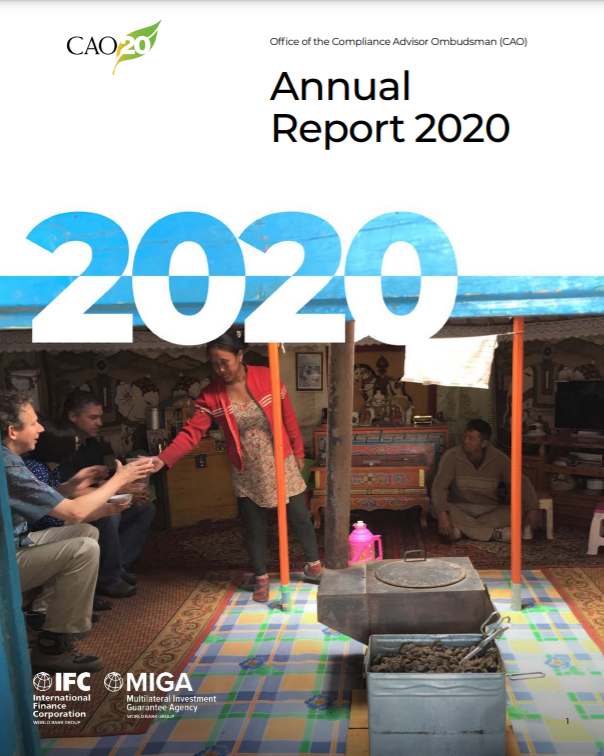 CAO 2020 Annual Report
