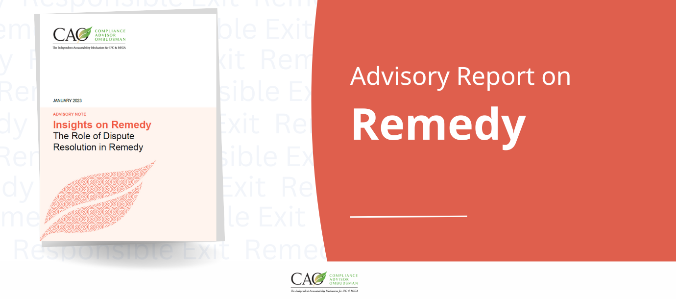 Insights on Remedy Cover