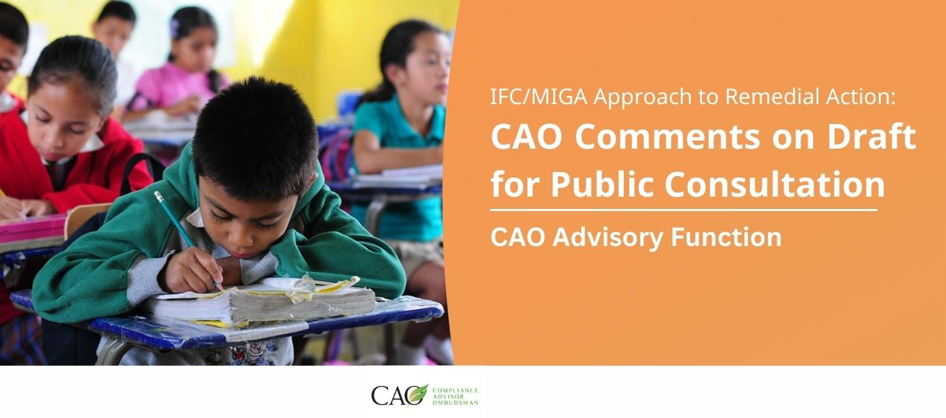CAO Comments on Draft for Public Consultation Cover