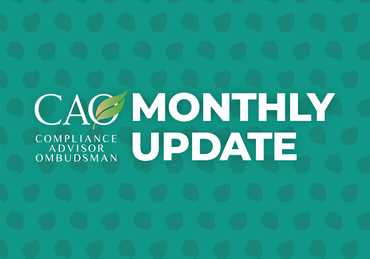 CAO Monthly Updates Hero Banner - Green