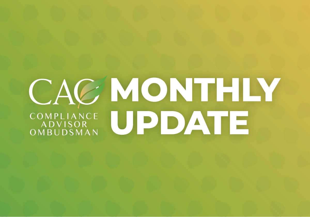 CAO Monthly Update Banner - Green to Yellow Gradient