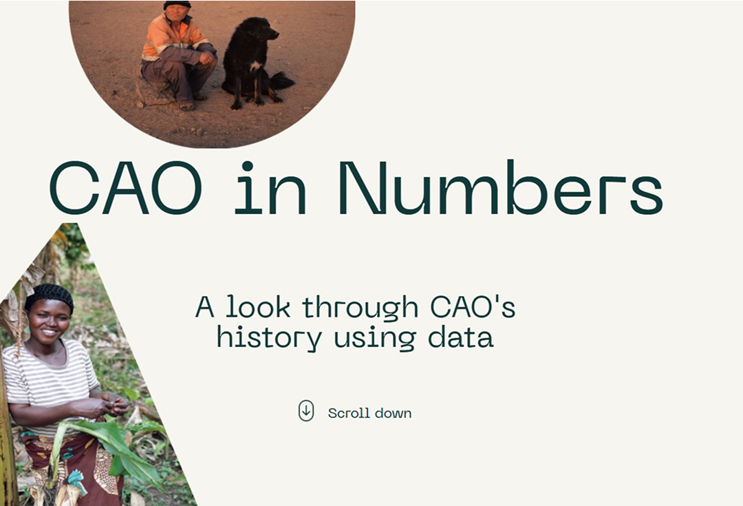 CAO in Numbers