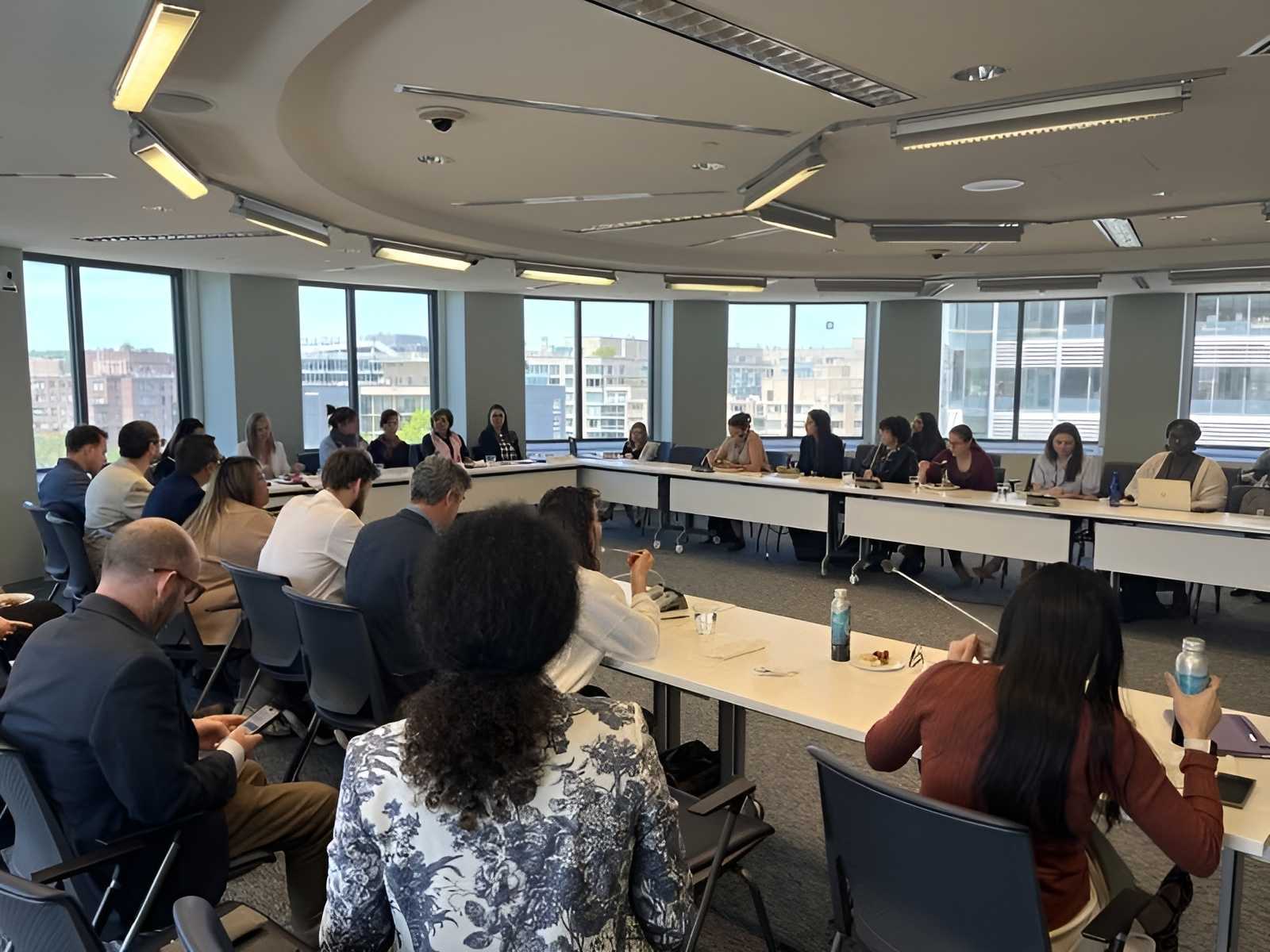 Civil society roundtable hosted at CAO