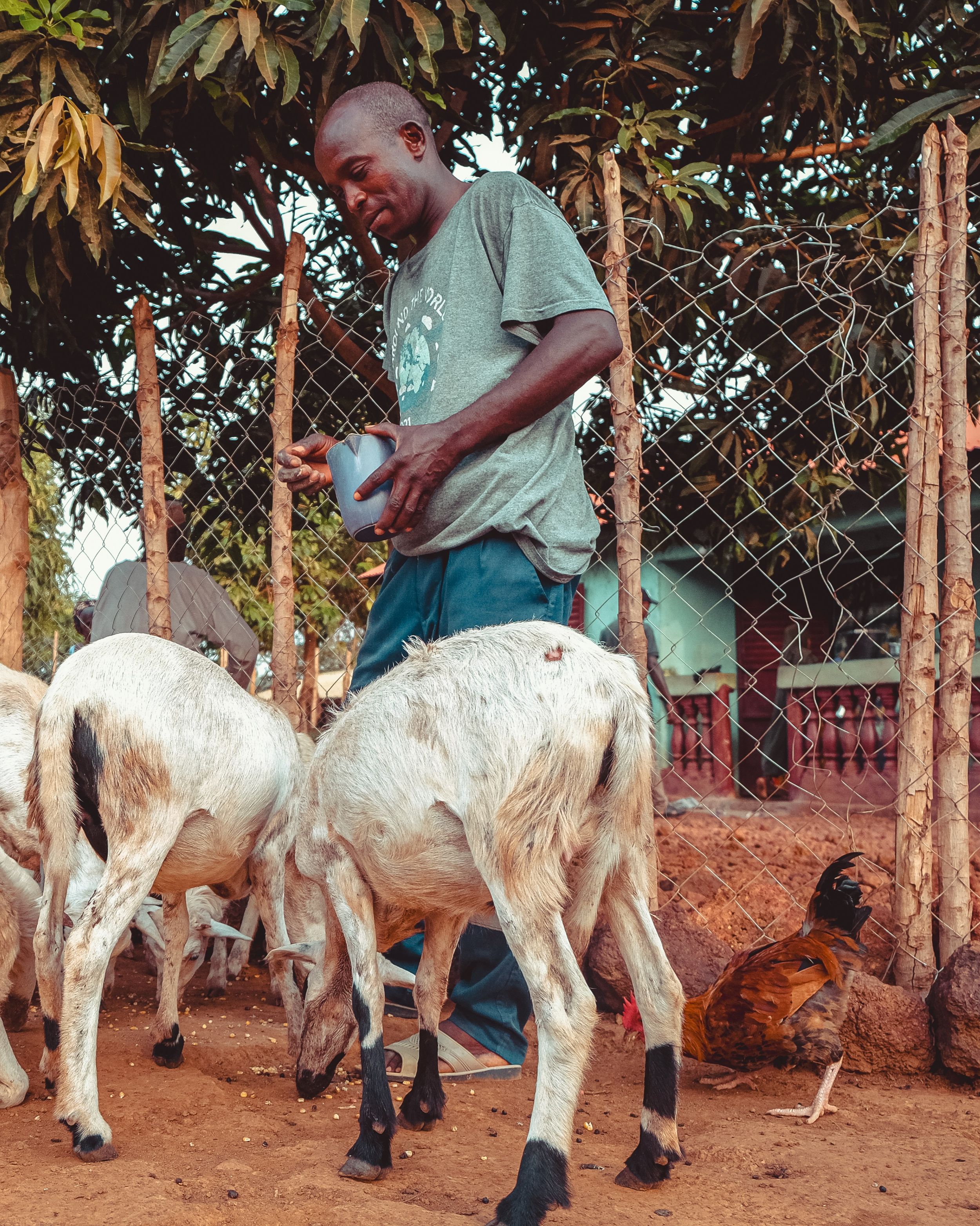 Photo: Rodrig Mbock/CAO, 2025