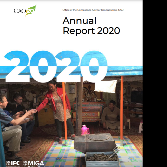 CAO Annual Report 2020