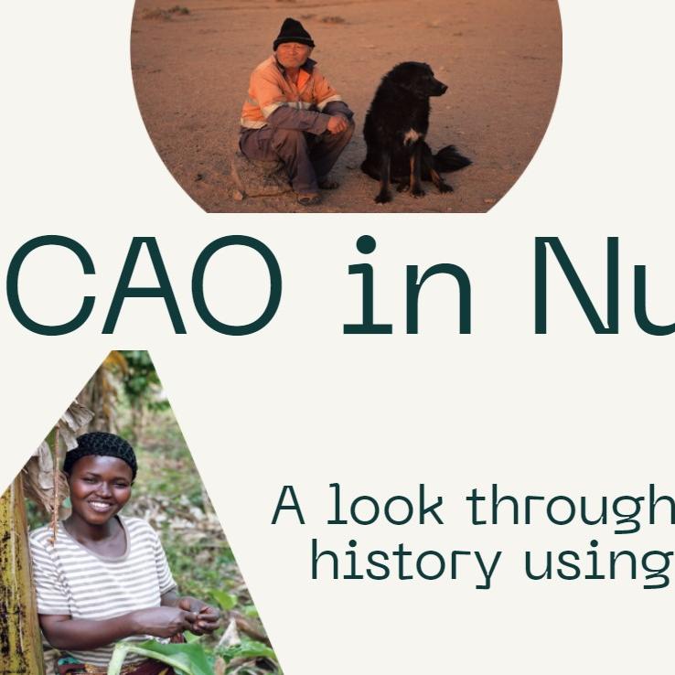 CAO in Numbers
