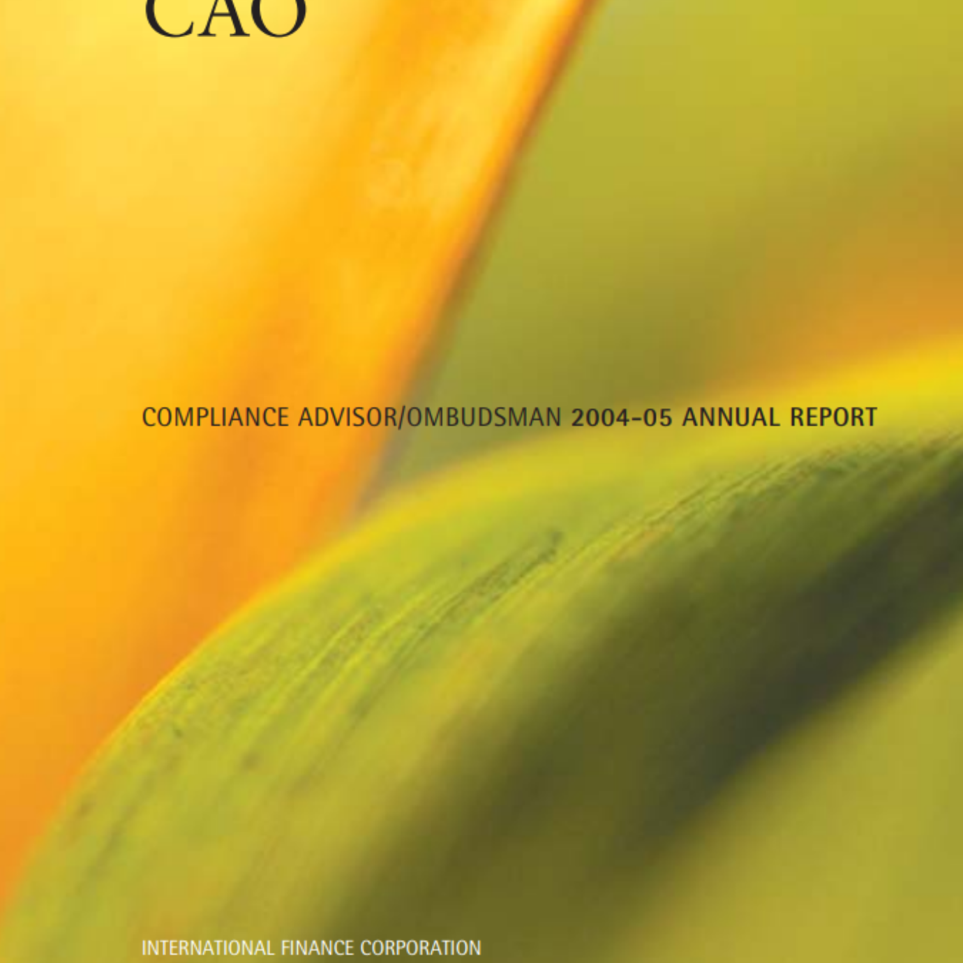 CAO 2005 Annual Report Cover