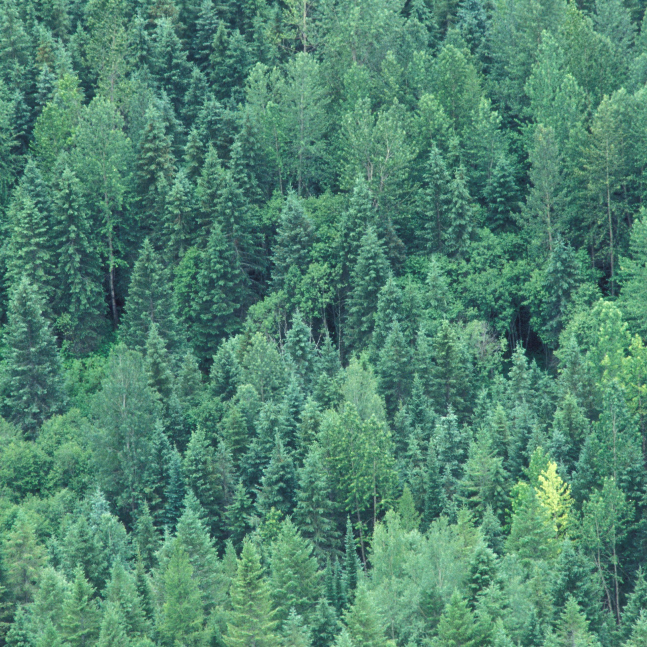 Cover GHG Paper 