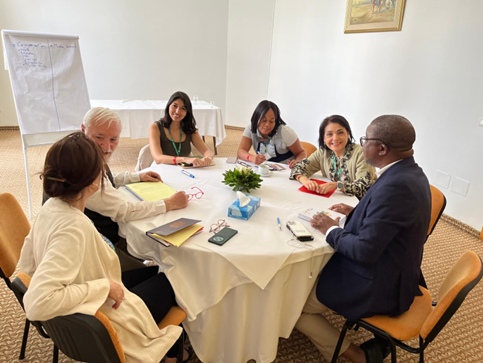 Participants of CAO MENA Mediator Workshop