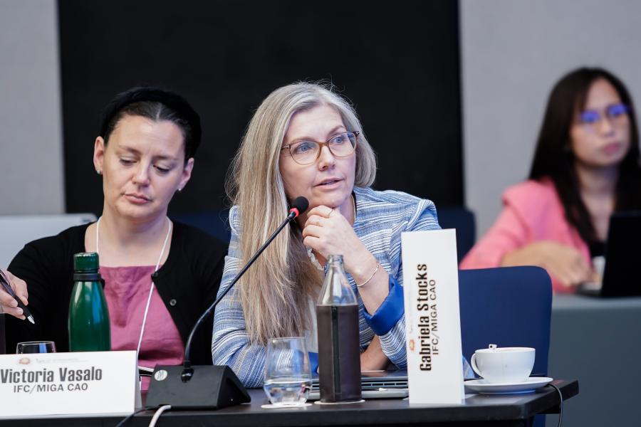 CAO Plenary Participation 