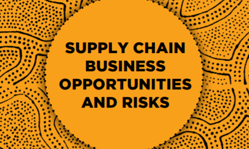 Supply Chain Business Opportunities and Risks