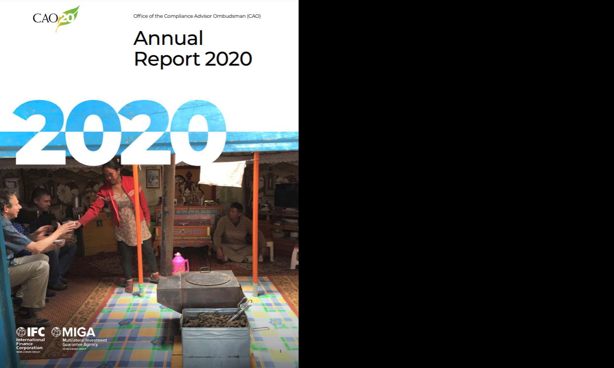 CAO Annual Report 2020
