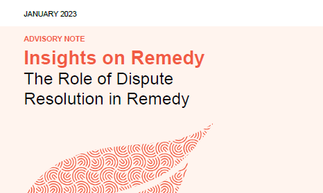 Insights on Remedy Cover