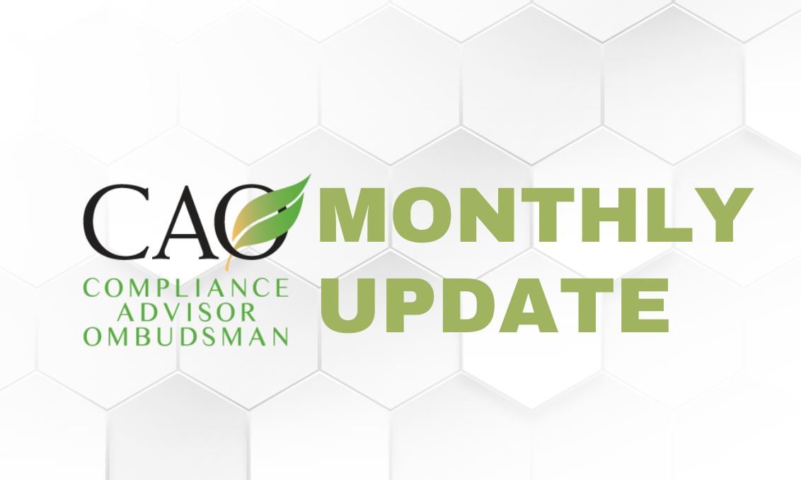 CAO Monthly Update Banner - Green to Yellow Gradient