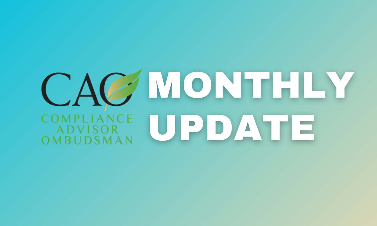 CAO Monthly Update Banner - Green to Yellow Gradient