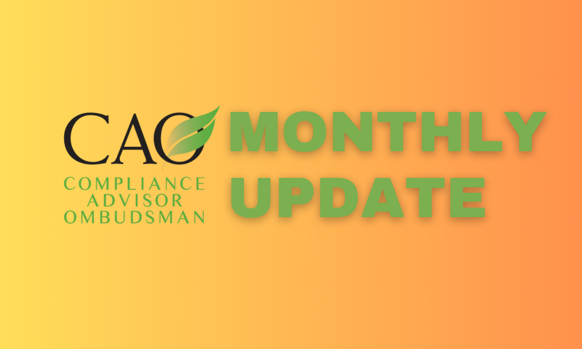 CAO Monthly Update Banner - Green to Yellow Gradient