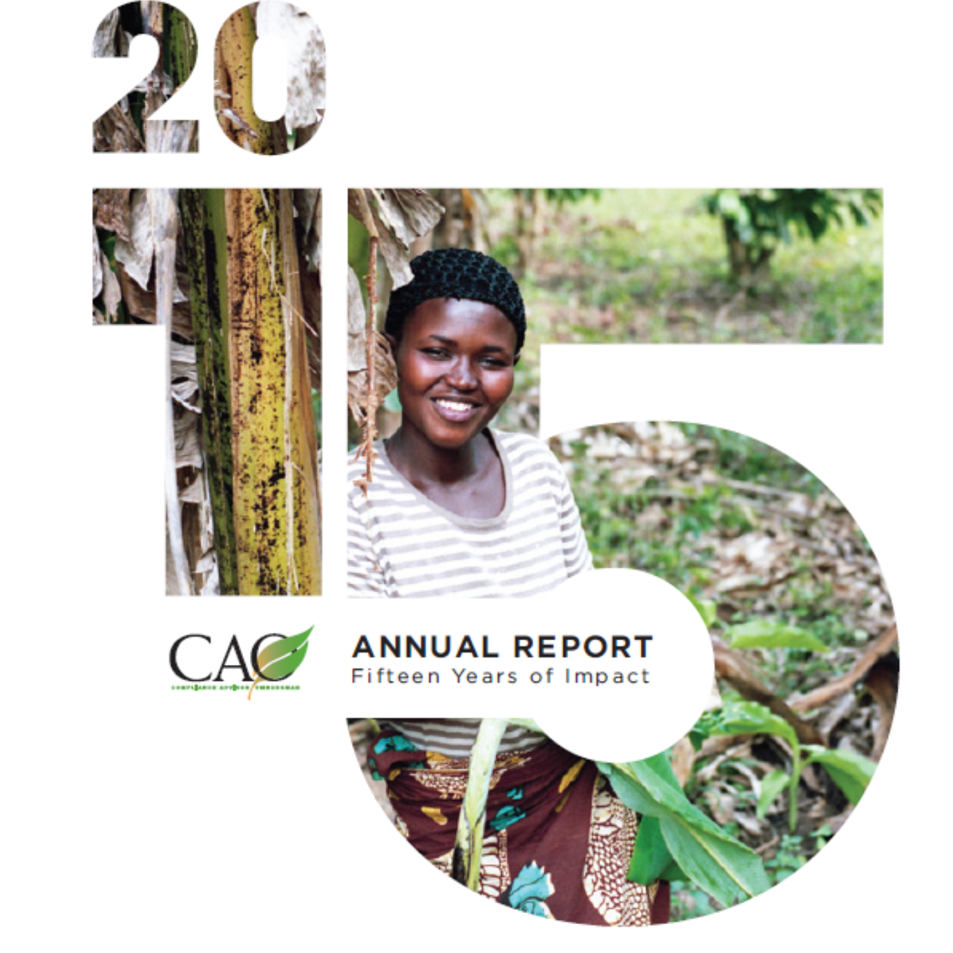 CAO 2015 Annual Report